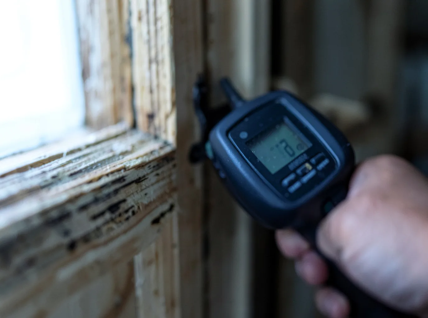 Moisture Inspection And Documentation in Goodwine, IL
